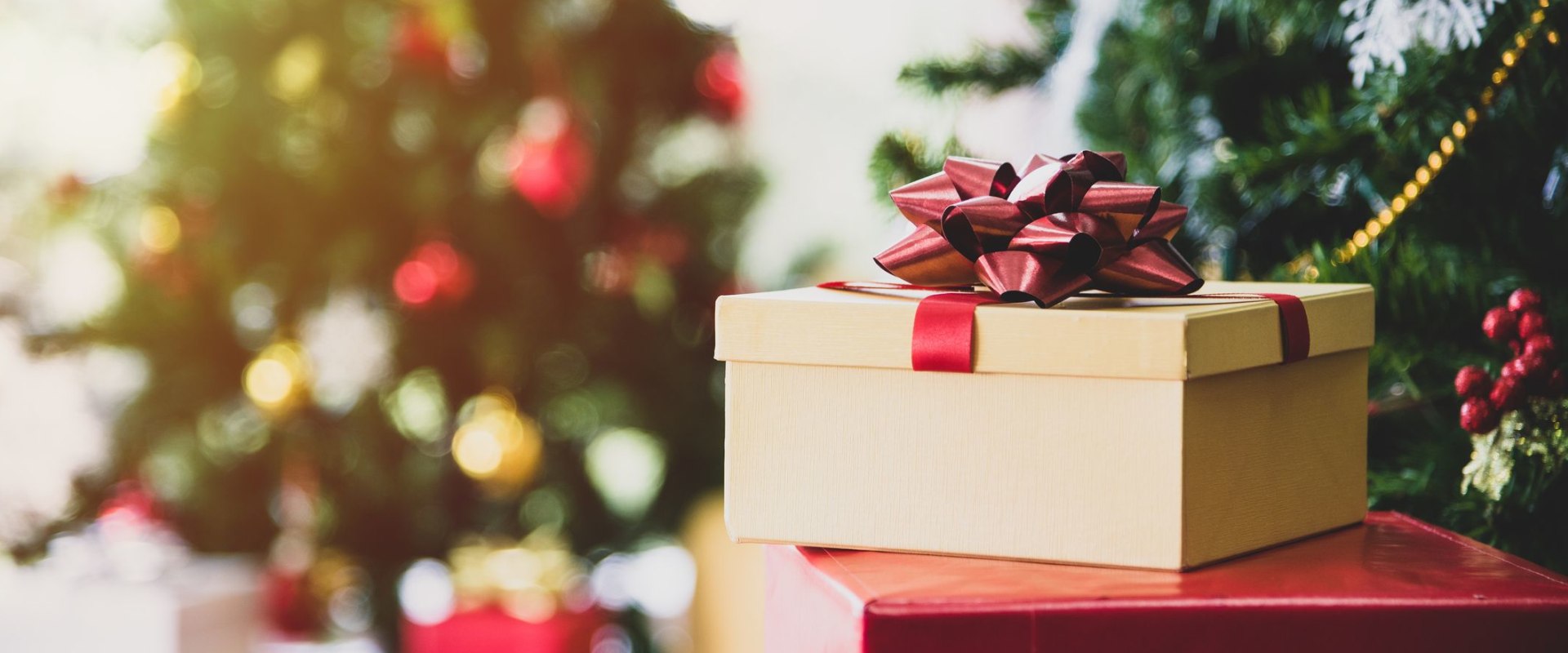 What can be gifted on christmas gift?